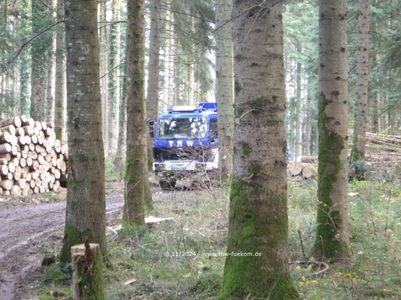 MastKW mitten im Wald